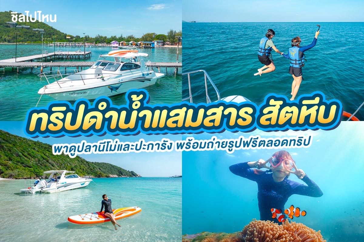 ทริปดำน้ำแสมสาร สัตหีบ สำหรับ 6 ท่าน เรือสปีดโบ้ท, สัตหีบ ชลบุรี