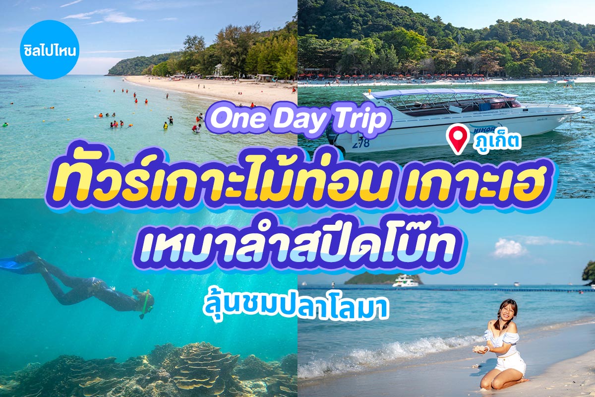 แพ็คเกจเช่าเหมาลำล่องเรือสปีดโบ๊ท เกาะไม้ท่อนและกาฮังบีช (เกาะเฮ) ดำน้ำ ชมปลาโลมา, ภูเก็ต