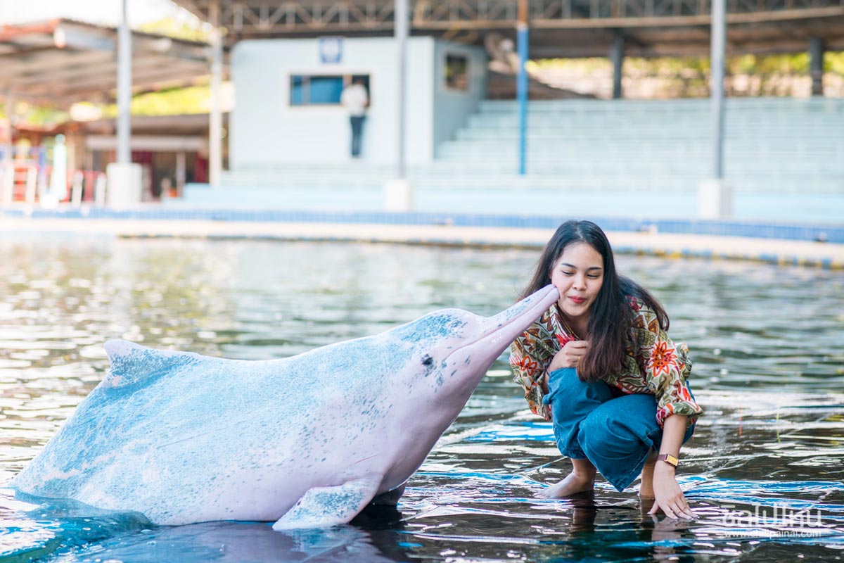 บัตร Day Pass โอเอซีส ซีเวิลด์ (Oasis Sea World) , จันทบุรี