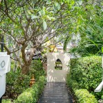 Oasis Spa : โปรแกรม Oasis Summer Day