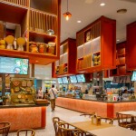 [จากกรุงเทพ] (Join) ทัวร์อยุธยาเต็มวัน : พระราชวังฤดูร้อนและวัดต่างๆ