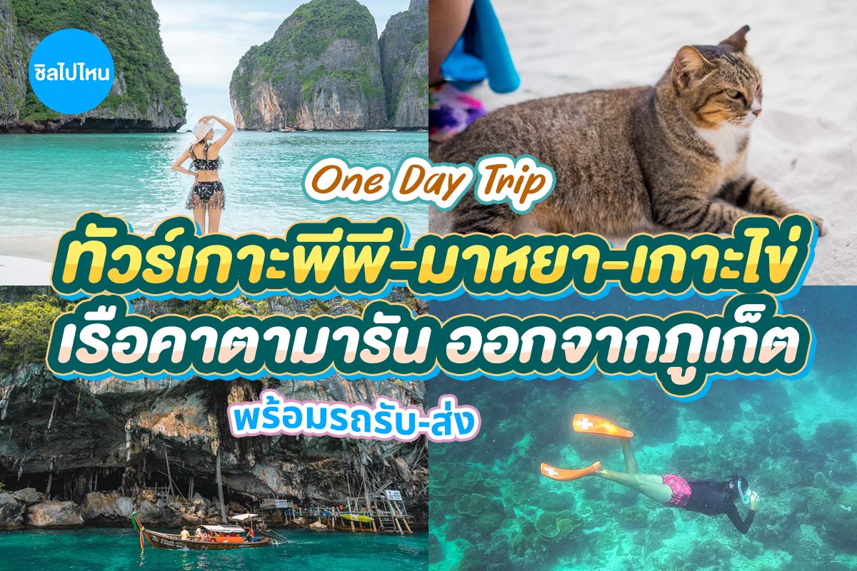 [From Phuket] Speed Catamaran : One Day Trip Phi Phi + Maya + Khai Islands with transfer