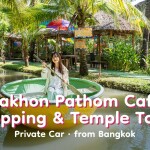 佛统咖啡馆巡游和寺庙之旅 · 私家车 · 曼谷出发