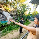 [เฉพาะชาวต่างชาติ] One Day Trip (Private) : ทัวร์ซาฟารีเวิลด์ พร้อมรถรับส่งส่วนตัว, กรุงเทพ