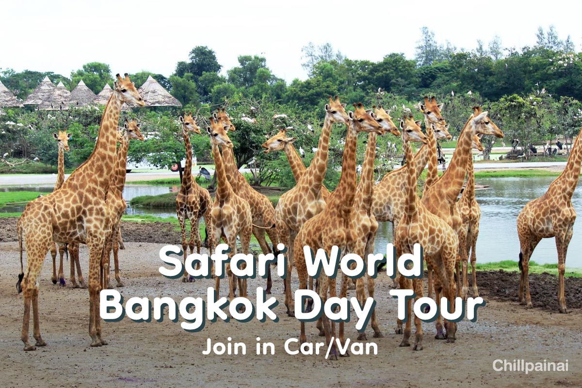 voucher/oneasia/safari-world/safariworld-join.jpg