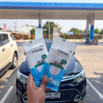 One Day Trip สวนสัตว์ซาฟารีปาร์ค + คาเฟ่กาญจนบุรี พร้อมรถรับส่งส่วนตัวจากกรุงเทพ