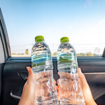 One Day Trip สวนสัตว์ซาฟารีปาร์ค + คาเฟ่กาญจนบุรี พร้อมรถรับส่งส่วนตัวจากกรุงเทพ