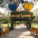 One Day Trip สวนสัตว์ซาฟารีปาร์ค + คาเฟ่กาญจนบุรี พร้อมรถรับส่งส่วนตัวจากกรุงเทพ