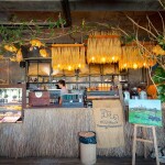 One Day Trip สวนสัตว์ซาฟารีปาร์ค + คาเฟ่กาญจนบุรี พร้อมรถรับส่งส่วนตัวจากกรุงเทพ