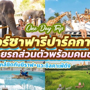 One Day Trip สวนสัตว์ซาฟารีปาร์ค + คาเฟ่กาญจนบุรี พร้อมรถรับส่งส่วนตัวจากกรุงเทพ