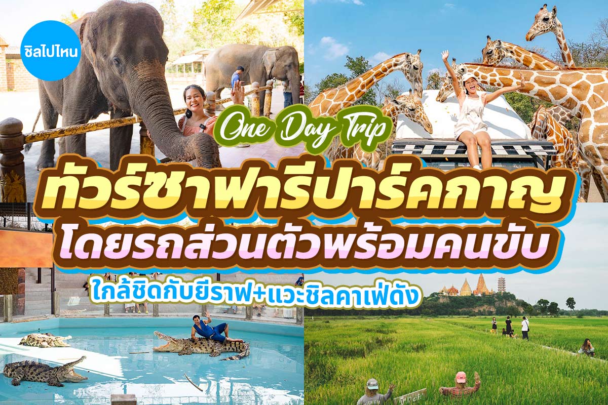 One Day Trip สวนสัตว์ซาฟารีปาร์ค + คาเฟ่กาญจนบุรี พร้อมรถรับส่งส่วนตัวจากกรุงเทพ
