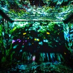 บัตรเข้าชม ปาโด มีเดีย อาร์ท สเปซ · พัทยา