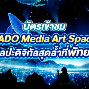 บัตรเข้าชม ปาโด มีเดีย อาร์ท สเปซ · พัทยา