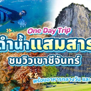 One Day Trip : ดำน้ำชมปลาการ์ตูน ถ่ายรูปใต้น้ำ แสมสาร + อาหารกลางวัน + รถรับส่งจากกรุงเทพ-พัทยา-แสมสาร