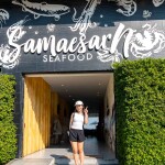 One Day Trip : ดำน้ำชมปลาการ์ตูน ถ่ายรูปใต้น้ำ แสมสาร + อาหารกลางวัน + รถรับส่งจากกรุงเทพ-พัทยา-แสมสาร