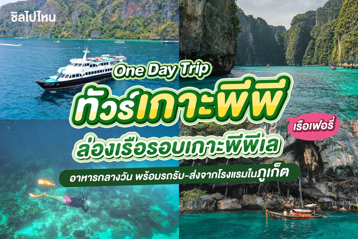 One day Trip ดำน้ำเกาะพีพี-อ่าวมาหยา-ปิเละ-ถ้ำไวกิ้ง รวมรถรับ-ส่ง สำหรับ 1 ท่าน, ภูเก็ต