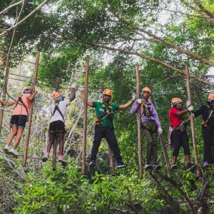 บัตรกิจกรรม Zipline Program A 10 สถานี ที่ Phoenix Adventure Park รวมอาหารกลางวันและรถรับ-ส่ง สำหรับ 1 ท่าน, เชียงใหม่