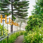 PhuSandao Resort (ภูแสนดาว รีสอร์ต) ห้อง แยมโรล 2 ท่าน, เขาค้อ