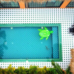 พูลวิลล่าพัทยา : V1 DOJO POOL VILLA TIKI LOUNGE 4 ห้องนอน เริ่ม 12 ท่าน