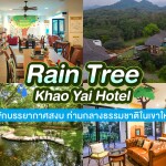 Rain Tree Khao Yai (โรงแรมเรนทรี เขาใหญ่) ห้อง Deluxe Twin Beds 2 ท่าน เขาใหญ่