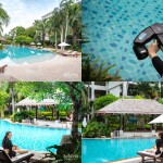 Ravindra Beach Resort and Spa (ราวินทรา บีช รีสอร์ท แอนด์ สปา) ห้อง superior 2 ท่าน , พัทยา นาจอมเทียน