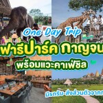 One Day Trip สวนสัตว์ซาฟารีปาร์ค + คาเฟ่กาญจนบุรี พร้อมรถรับส่งส่วนตัวจากกรุงเทพ