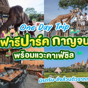 One Day Trip สวนสัตว์ซาฟารีปาร์ค + คาเฟ่กาญจนบุรี พร้อมรถรับส่งส่วนตัวจากกรุงเทพ