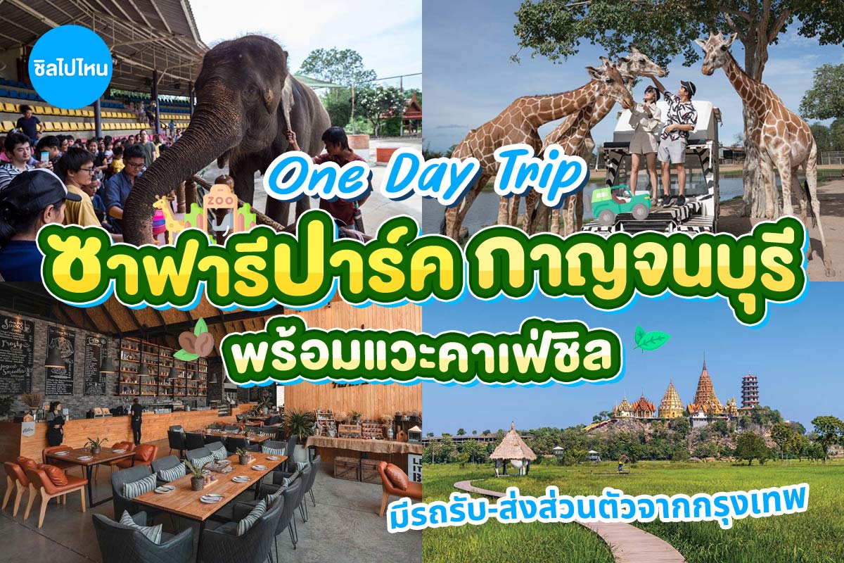 One Day Trip สวนสัตว์ซาฟารีปาร์ค + คาเฟ่กาญจนบุรี พร้อมรถรับส่งส่วนตัวจากกรุงเทพ