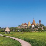 One Day Trip สวนสัตว์ซาฟารีปาร์ค + คาเฟ่กาญจนบุรี พร้อมรถรับส่งส่วนตัวจากกรุงเทพ