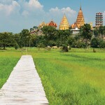 One Day Trip สวนสัตว์ซาฟารีปาร์ค + คาเฟ่กาญจนบุรี พร้อมรถรับส่งส่วนตัวจากกรุงเทพ