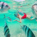 ทริปดำน้ำตื้นเกาะขาม เรือสปีดโบ๊ท (เหมาลำ) สำหรับ 1 - 6 ท่าน Samaesan Marina สัตหีบ ชลบุรี