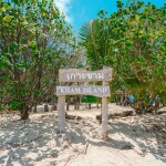 ทริปดำน้ำตื้นเกาะขาม เรือสปีดโบ๊ท (เหมาลำ) สำหรับ 1 - 6 ท่าน Samaesan Marina สัตหีบ ชลบุรี