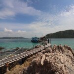 ทริปดำน้ำตื้นเกาะขาม เรือสปีดโบ๊ท (เหมาลำ) สำหรับ 1 - 6 ท่าน Samaesan Marina สัตหีบ ชลบุรี