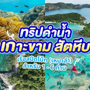 ทริปดำน้ำตื้นเกาะขาม เรือสปีดโบ๊ท (เหมาลำ) สำหรับ 1 - 6 ท่าน Samaesan Marina สัตหีบ ชลบุรี