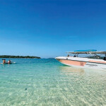 แพ็คเกจดำน้ำแสมสาร เรือสปีทโบ๊ท(เหมาลำ) พักที่ Samaesan Marina (แสมสาร มารีน่า) + อาหารเช้า สัตหีบ ชลบุรี