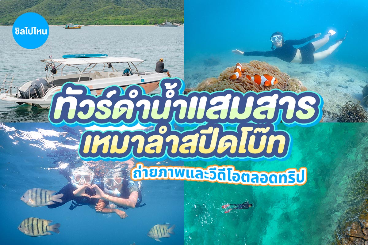 ทริปดำน้ำตื้นแสมสาร เรือสปีดโบ๊ท (เหมาลำ) สำหรับ 1 - 6 ท่าน Samaesan Marina สัตหีบ ชลบุรี