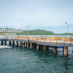 แพ็คเกจดำน้ำแสมสาร เรือสปีทโบ๊ท(เหมาลำ) พักที่ Samaesan Marina (แสมสาร มารีน่า) + อาหารเช้า สัตหีบ ชลบุรี