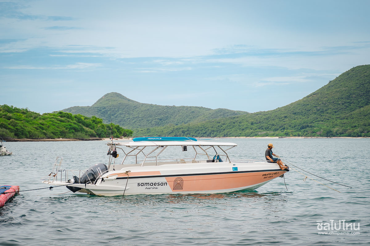 ทริปดำน้ำตื้นแสมสาร เรือสปีดโบ๊ท (เหมาลำ) สำหรับ 1 - 6 ท่าน Samaesan Marina สัตหีบ ชลบุรี