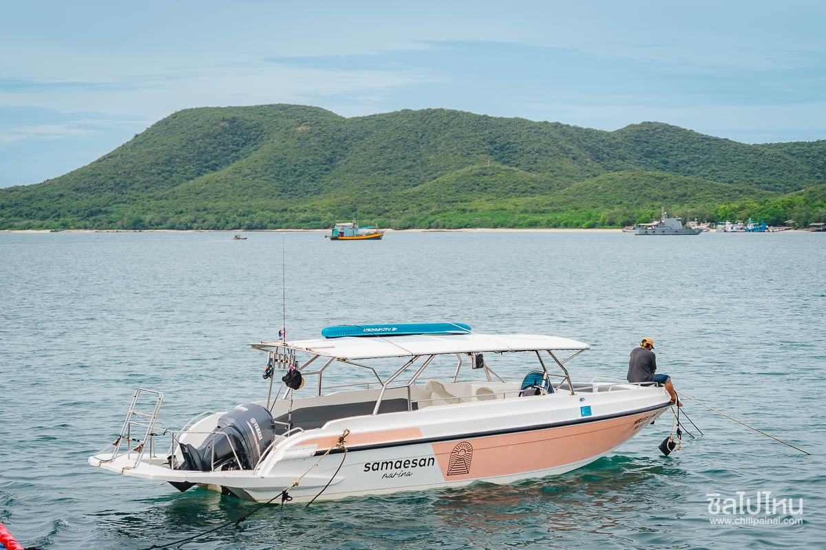 ทริปดำน้ำตื้นเกาะขาม เรือสปีดโบ๊ท (เหมาลำ) สำหรับ 1 - 6 ท่าน Samaesan Marina สัตหีบ ชลบุรี