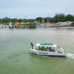 แพ็คเกจดำน้ำแสมสาร เรือสปีทโบ๊ท(เหมาลำ) + บ้านพักบ้านแม่บังอร + อาหารเช้า @Sea Sand Sun ,สัตหีบ ชลบุรี