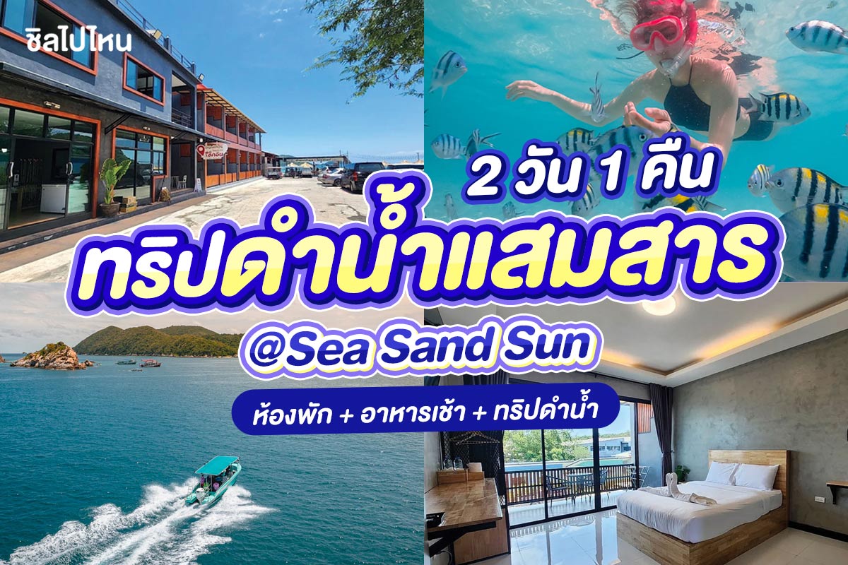 แพ็คเกจดำน้ำแสมสาร เรือสปีทโบ๊ท(เหมาลำ) + บ้านพักบ้านแม่บังอร + อาหารเช้า @Sea Sand Sun ,สัตหีบ ชลบุรี