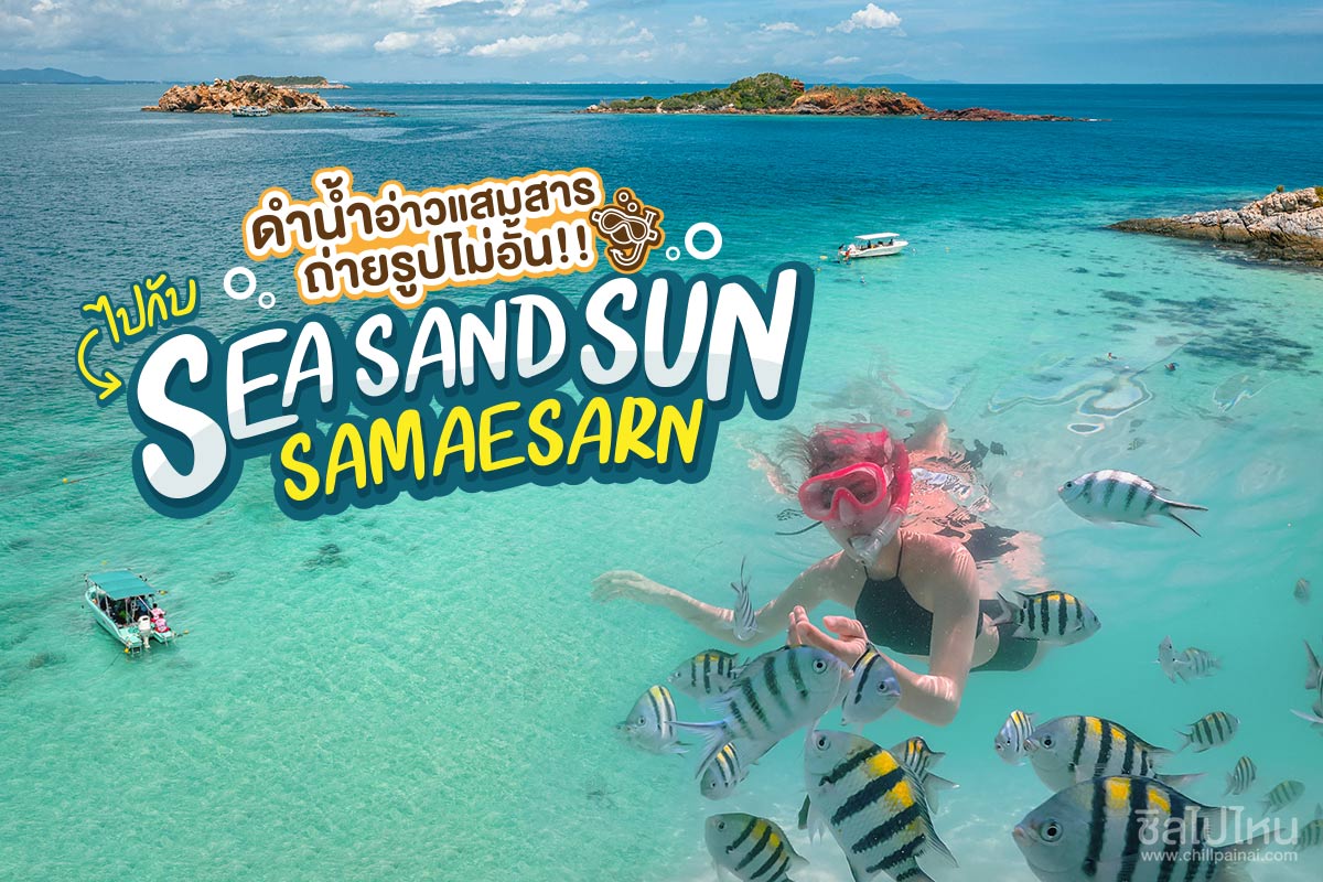 ทริปดำน้ำแสมสาร เรือสปีดโบ้ท (เหมาลำ) สำหรับ 1-6 ท่าน , สัตหีบ ชลบุรี