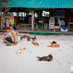 One Day Trip ทัวร์ Lazy Phi Phi เกาะพีพี-อ่าวมาหยา-ปิเละ-เกาะไข่ โดยเรือสปีดโบ๊ท + อาหารกลางวัน + รถรับ-ส่ง , ภูเก็ต