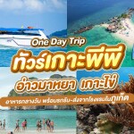 One Day Trip ทัวร์เกาะพีพี อ่าวมาหยา เกาะไข่ โดยเรือสปีดโบ๊ท + อาหารกลางวัน + รถรับ-ส่ง, ภูเก็ต