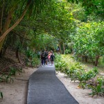 เรือสปีดคาตามารัน 2 ชั้น One Day Trip ทัวร์ Lazy Phi Phi เกาะพีพี-ไม้ท่อน-ซันเซ็ทมาหยา (มีสไลด์เดอร์)+อาหารกลางวัน+รถรับ-ส่ง, ภูเก็ต