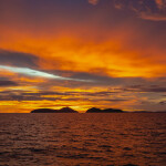 เรือสปีดคาตามารัน 2 ชั้น One Day Trip ทัวร์ Lazy Phi Phi เกาะพีพี-ไม้ท่อน-ซันเซ็ทมาหยา (มีสไลด์เดอร์)+อาหารกลางวัน+รถรับ-ส่ง, ภูเก็ต