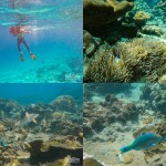 เรือสปีดคาตามารัน 2 ชั้น One Day Trip ทัวร์ Lazy Phi Phi เกาะพีพี-ไม้ท่อน-ซันเซ็ทมาหยา (มีสไลด์เดอร์)+อาหารกลางวัน+รถรับ-ส่ง, ภูเก็ต