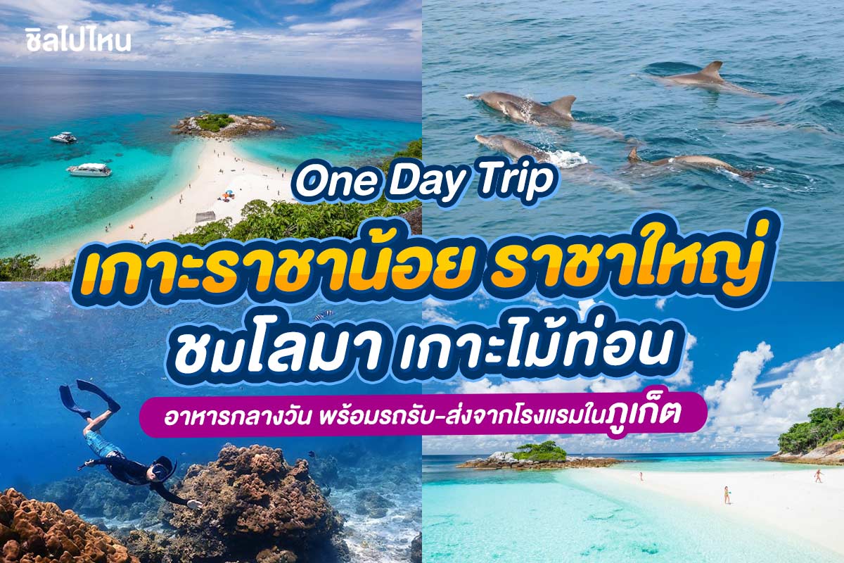 One Day Trip ทัวร์เกาะราชาน้อย-ราชาใหญ่ ชมโลมา เกาะไม้ท่อน เรือสปีดโบ๊ท + อาหาร 2 มื้อ + รถรับ-ส่ง , ภูเก็ต