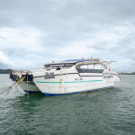 One Day Trip (เหมาลำ) โปรแกรม C : ดำน้ำ ตกปลา รอบเกาะเสม็ด,ระยอง