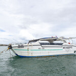 One Day Trip (เหมาลำ) โปรแกรม C : ดำน้ำ ตกปลา รอบเกาะเสม็ด,ระยอง